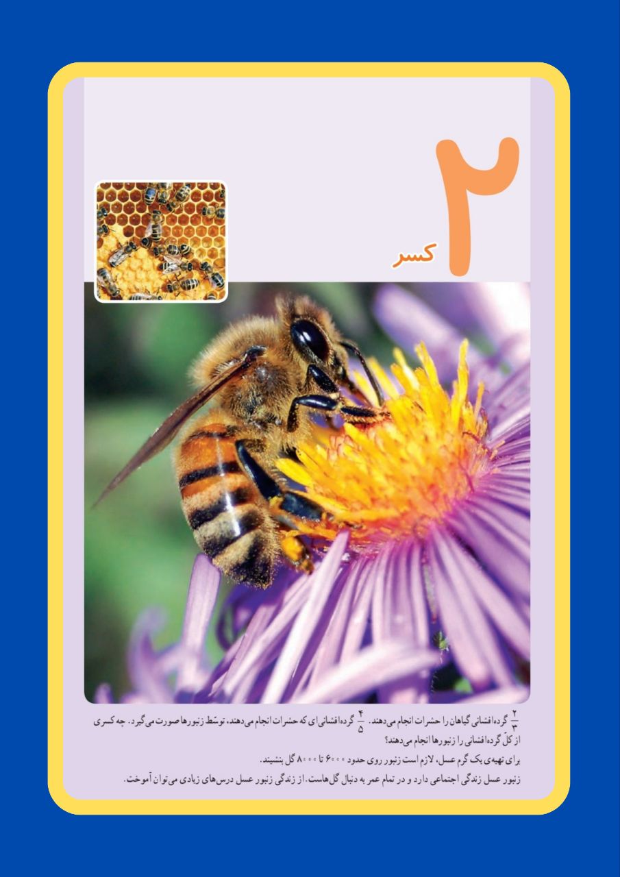 ریاضی پنجم